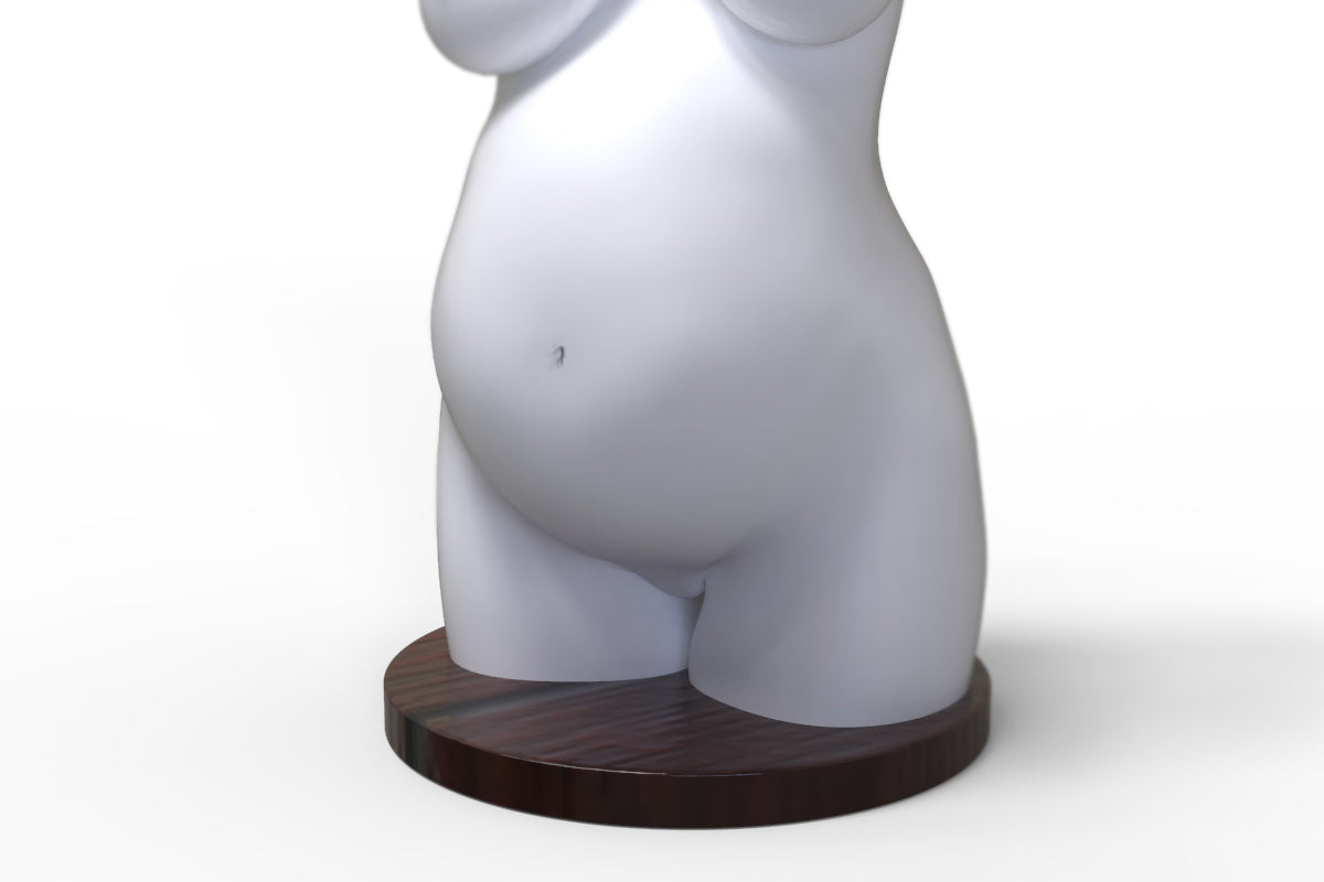 Abformset Alginat 3D Körper Schwangerschaft Babybauch